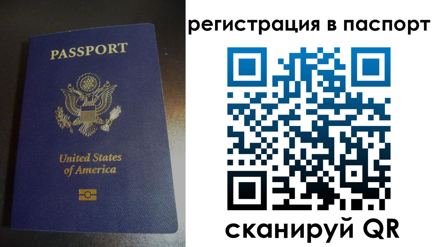 прописка для школы в Истре